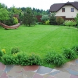 Kako posijati travnjak vlastitim rukama